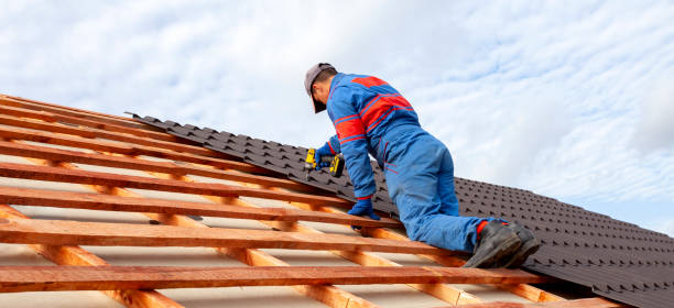 Best Metal Roofing Installation  in Adamsville, AL